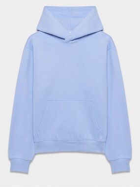 Aritzia Dayflower Blue Perfect Hoodie